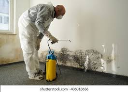 Best Commercial Mold Inspection  in Farmer City, IL